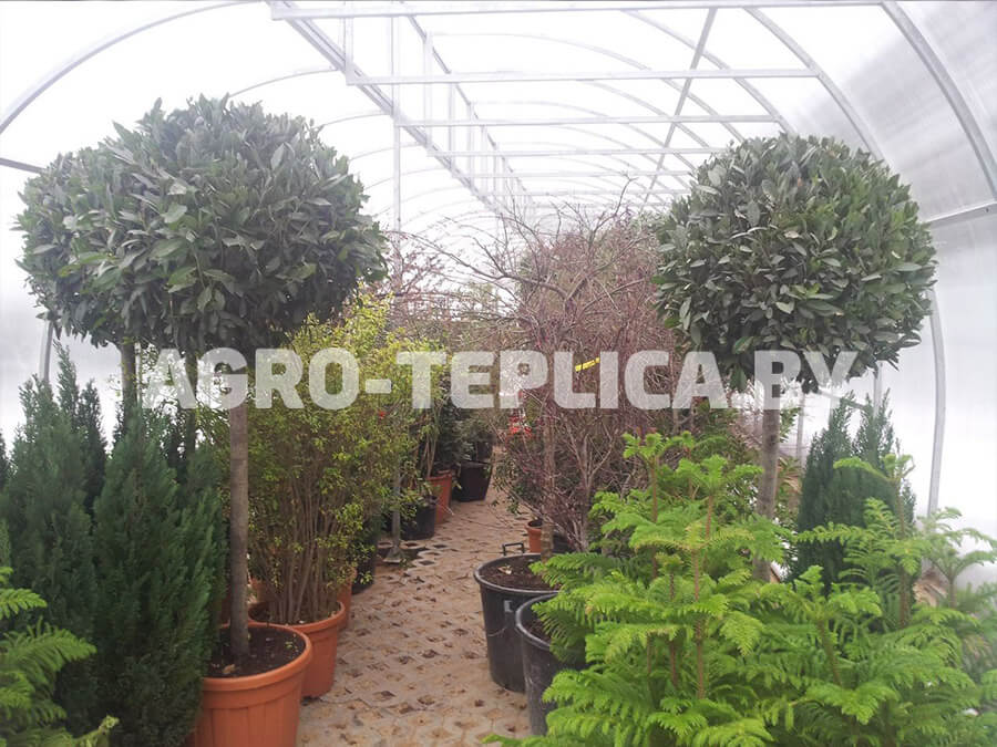 Фото Агротеплицы Фермер