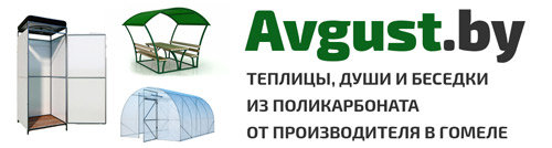 Логотип завода Avgust