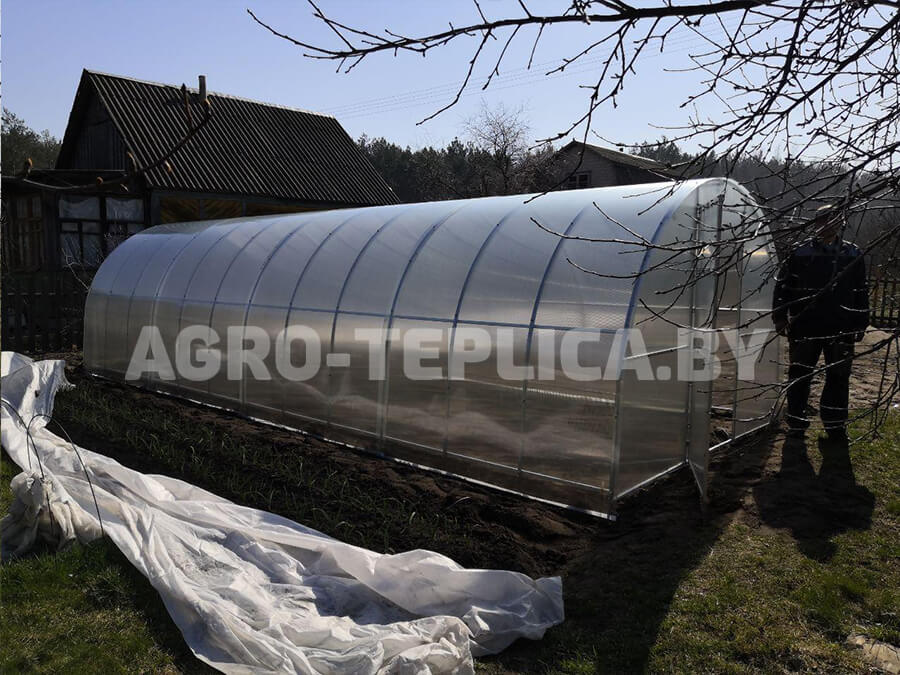 Фото Агротеплицы Плюс