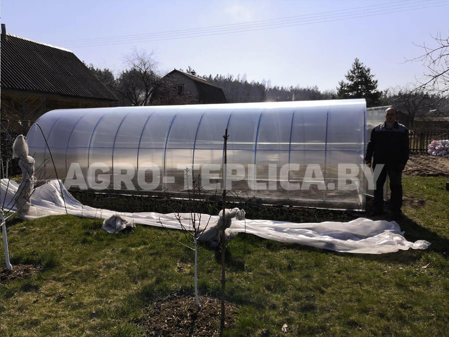 Фото Агротеплицы Плюс