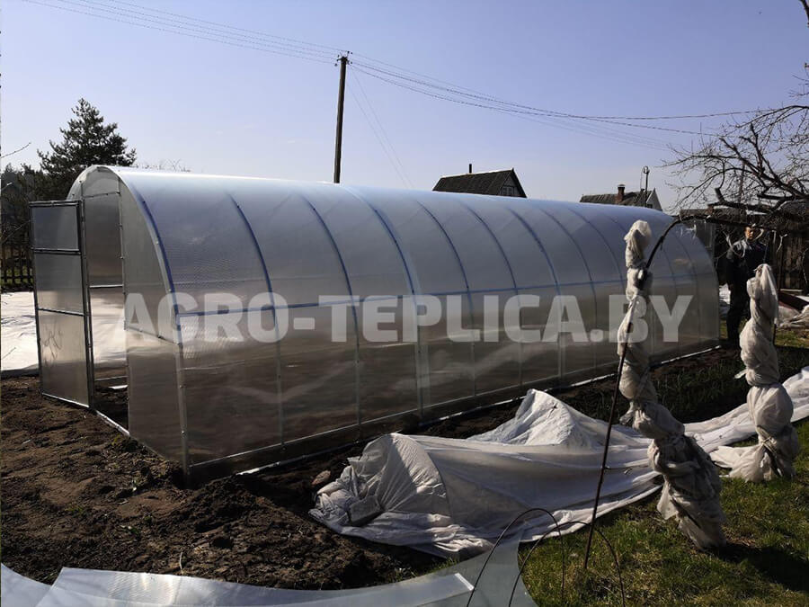 Фото Агротеплицы Плюс