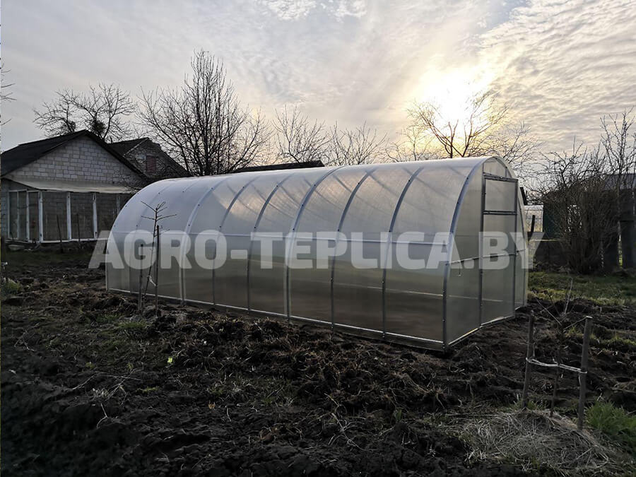 Фото Агротеплицы Престиж