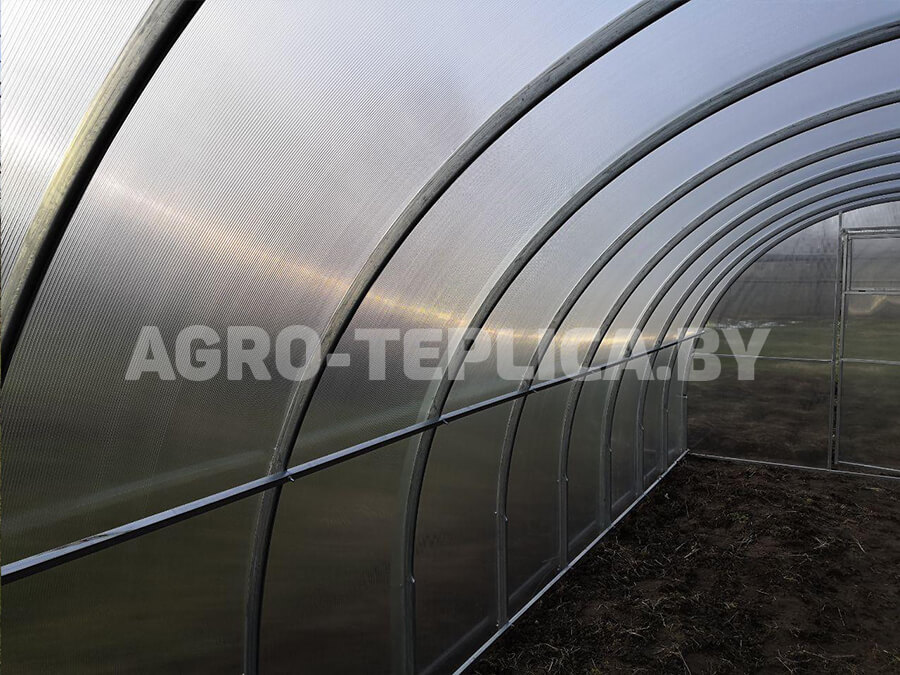 Фото Агротеплицы Престиж